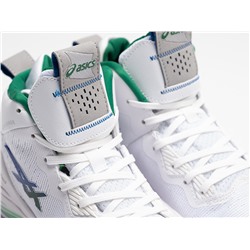 Кроссовки Asics Nova Surge 2
