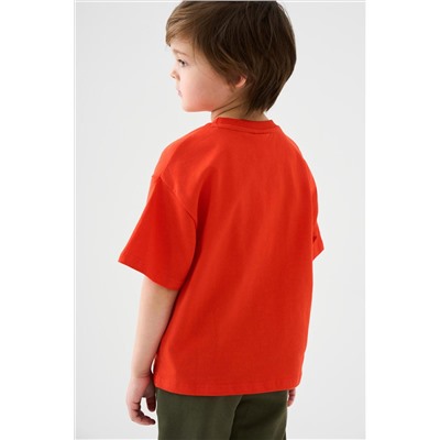 Фуфайка трикотажная для мальчиков (футболка) PLAYTODAY, 1239802