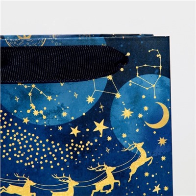 Пакет подарочный новогодний под бутылку «С Новым годом», 13×35×10 см