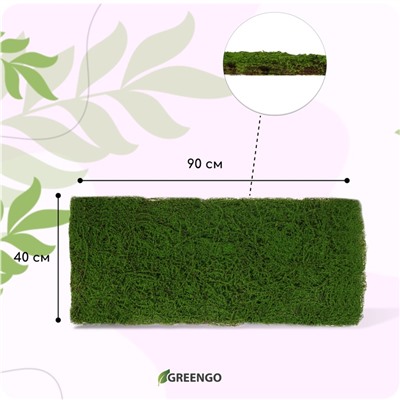 Декоративная панель, 90×40 см, «Мох», Greengo