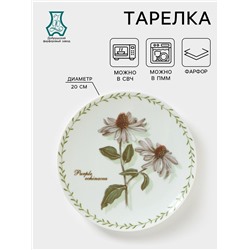 Тарелка фарфоровая «Ботаника», d=20 см