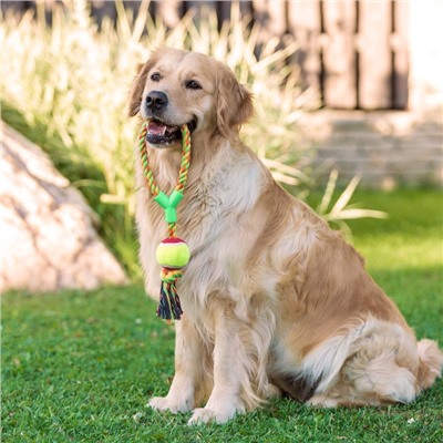 Игрушка канатная с ручкой и мячом, до 150 г, до 35 см, цвет МИКС