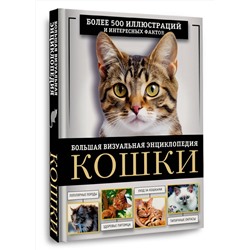 АСТ Дмитрий Смирнов, Анна Спектор "Кошки. Большая визуальная энциклопедия"
