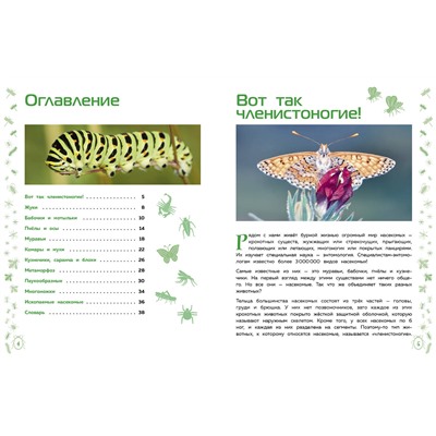 Эксмо "Насекомые"