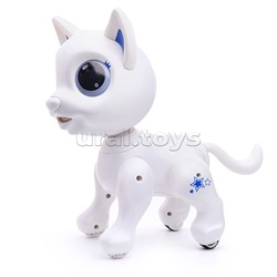 Интерактивная игрушка в коробке