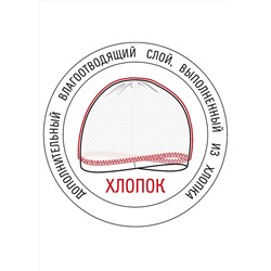 CLEVER Шапка