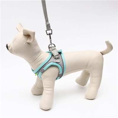 Комплект с мягкой шлейкой быстросъемный, XXS поводок 150×1.5 см, ОШ 24-26 ОГ 28-30 см, бирюзовый