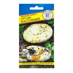 Мицелий грибов Груздь настоящий, 50 мл