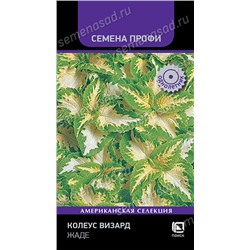 Колеус Визард Жаде (Код: 93368)