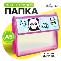 Папка для тетрадей, А5, пластиковая, 23×19×5 см «Пандочки»