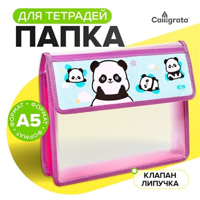 Папка для тетрадей, А5, пластиковая, 23×19×5 см «Пандочки»