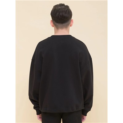 PELICAN Толстовка BFN7026U