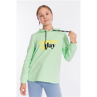 Толстовка М22136Па