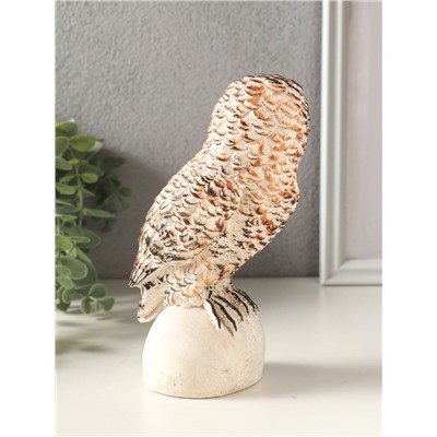 Фигурка гипс «Сова на камне», 18×10 см, мультиколор