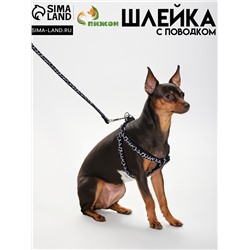 Шлейка с поводком «Жираф», ширина 1 см, поводок 120 см, шлейка 23-35 см, чёрная, белая