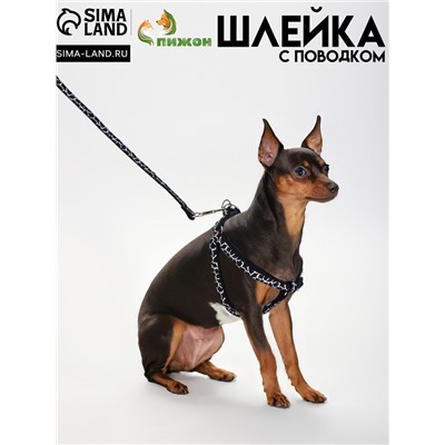 Шлейка с поводком «Жираф», ширина 1 см, поводок 120 см, шлейка 23-35 см, чёрная, белая