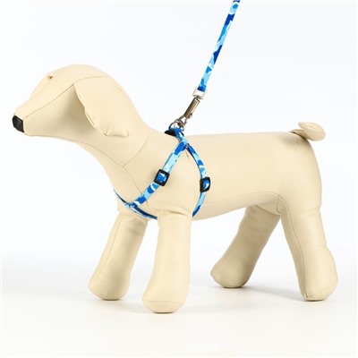 Шлейка с поводком «Камуфляж», ширина 1 см, шлейка 21-35 см, поводок 120 см, капрон, синяя, голубая