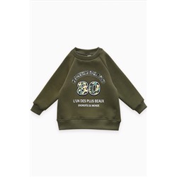 Толстовка футер начёс "Стейн" 30104 НАТАЛИ, 1064167