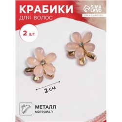 Крабик для волос «Мюриель», набор 2 шт., 2 см, розовый