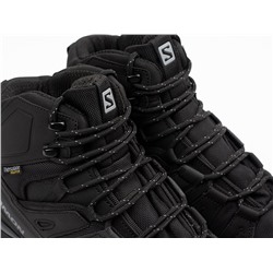 Зимние Ботинки Salomon Quest 4 GTX
