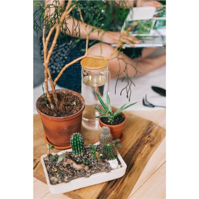 Кувшин стеклянный с бамбуковой крышкой Magistro «Эко», 1.3 л