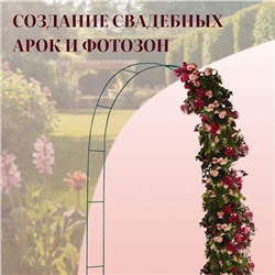 Арка садовая, 240×125×20 см, для вьющихся растений, металлическая, зелёная