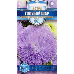 Астра Голубой Шар (Код: 84819)