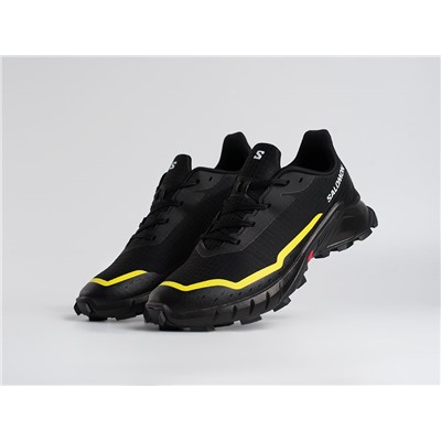 Кроссовки Salomon Alphacross 5 GTX