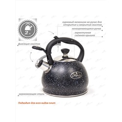 Merali Чайник ЧН-20-04