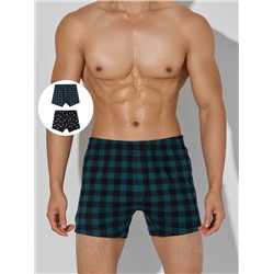 ТРУСЫ МУЖСКИЕ (2ШТ) 411152-2