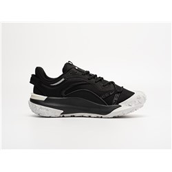 Кроссовки Nike ACG Mountain Fly 2 Low