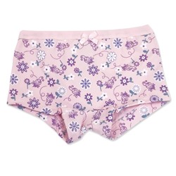 5970 Трусы для девочки шорты многоцвет (BAYKAR)