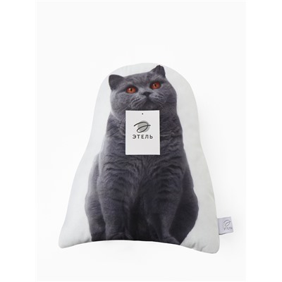 Подушка «Этель» Scottish cat, 40×33 см, 100% п/э, велюр
