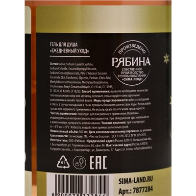 Гель для душа шампанское «С новым годом», 500 мл, аромат цветочной композиции, Чистое счастье