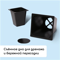 Набор для рассады: стаканы по 1 л (10 шт.), поддон 61×23 см, чёрный