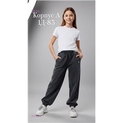 штаны 2055312-1