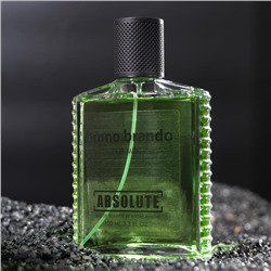 Туалетная вода мужская Absolute Bruno Brando, 100 мл (по мотивам Made For Men (B.Banani)