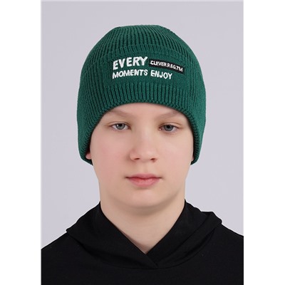 CLEVER Шапка