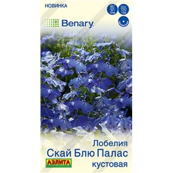 Лобелия Скай блю палас куст. (Код: 93585)
