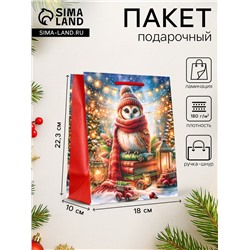 Пакет подарочный новогодний ламинированный, «Сова», 18×10×22.3 см