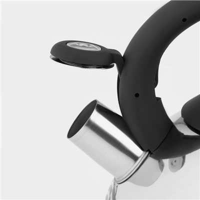 Чайник Доляна «Волна», 2.8 л, со свистком, с индикатором нагрева, фиксированная ручка, нержавеющая сталь