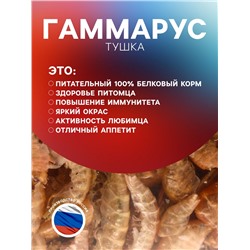 Корм для рыб и черепах «Пижон» гаммарус тушка, ведро, 1 л