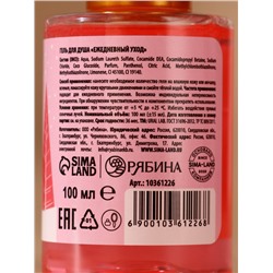 Подарочный набор URAL LAB «Сказочного года»: гель для душа 100 мл и крем для рук 30 мл, Новый Год