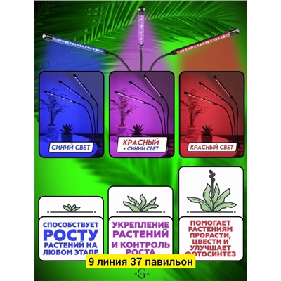 Фитолампа для растений 3 лампы