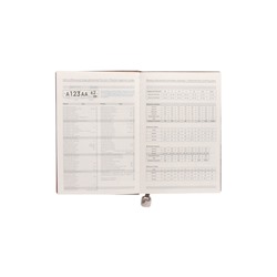 Ежедневник недатированный формат А5, 80л, линия, с ручкой, подар коробка, Серый