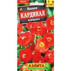 Ипомея Кардинал (Код: 87667)