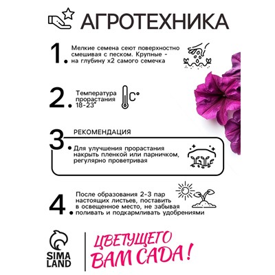 Семена  Петуния "Мамбо" F1 фиолетовая многоцветковая, 7 шт