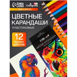 Карандаши цветные, 12 цветов, Calligrata TOP, шестигранные, пластиковые