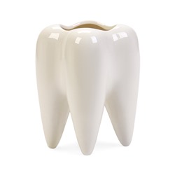 Декоративное кашпо для цветов «Зуб мудрости», 200 мл, 8.2×6.7×10 см, керамическое, белое