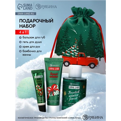 Новогодний подарочный набор косметики в мешке, зимний лес, URAL LAB